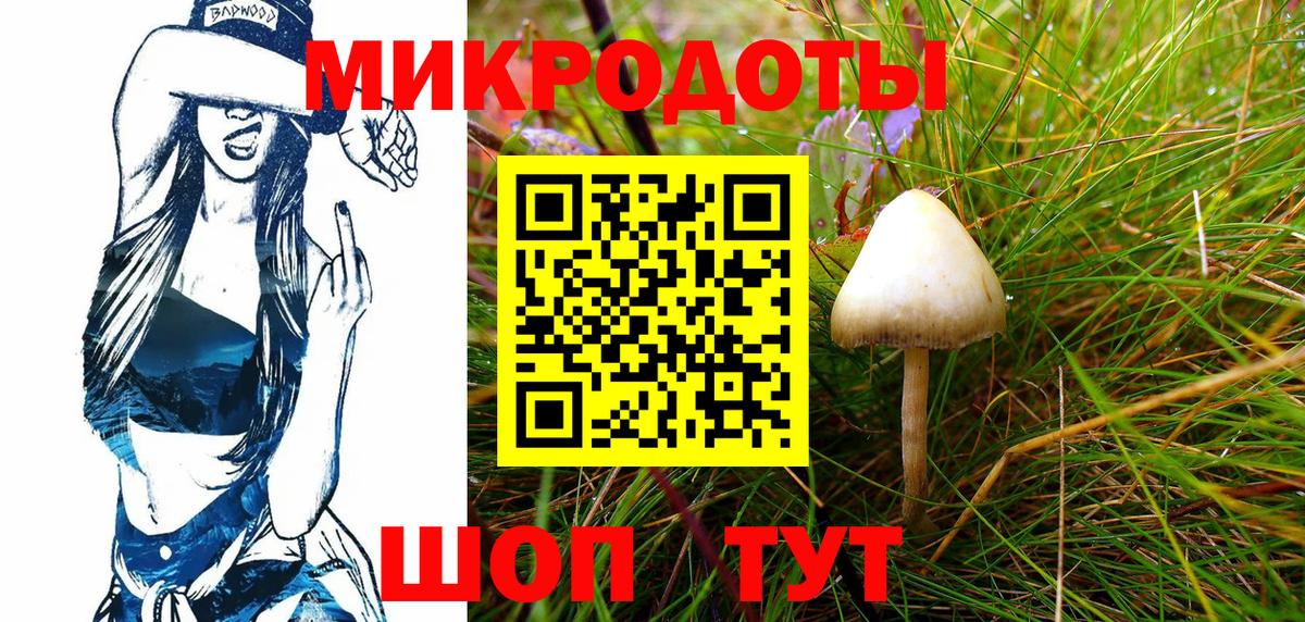 Галлюциногенные грибы мицелий Когалым