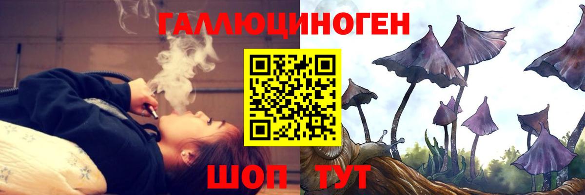 Псилоцибиновые грибы Cubensis  Галлюциногенные грибы прущие грибы  Когалым  Вход с VPN 